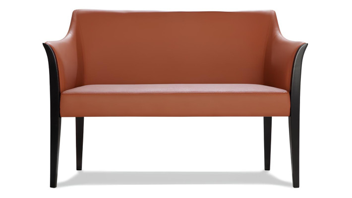Modern leather sofa