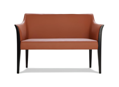 Modern leather sofa