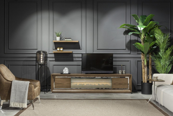 Mobile television furniture
