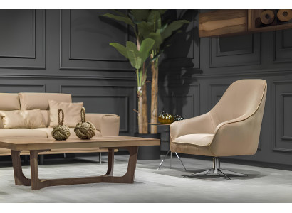 3+1 seater sofa set with table