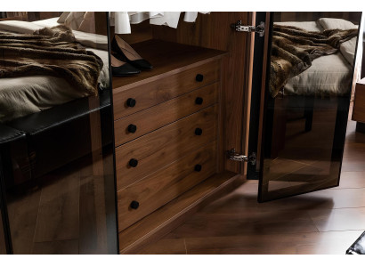 Brown glass cabinet with glass doors