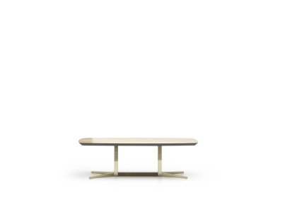 Luxury living room table