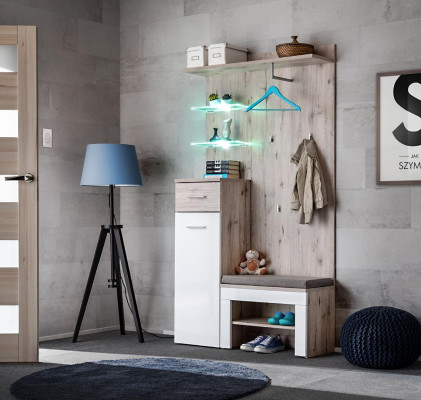 Modern luxury furniture set with wooden shoe rack