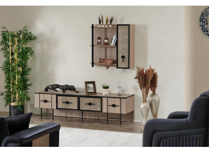 Wooden TV cabinet, modern luxury wall unit