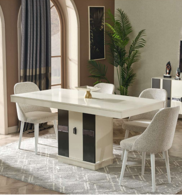 Modern dining room furniture set with table and 4 designer chairs