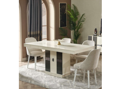 Modern dining room furniture set with table and 4 designer chairs