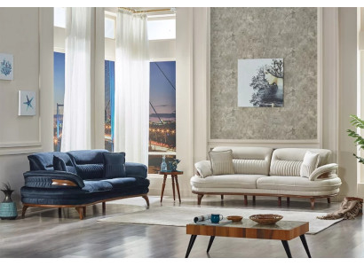 2-seater sofa set design for living room upholstered furniture