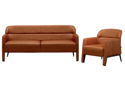 Luxury 2-piece armchair sofa set upholstered living room wood