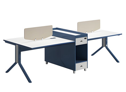 Modern, double-sided desk with partition panel and storage space