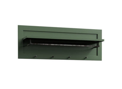 Cabinet wall with shelf and wardrobe door