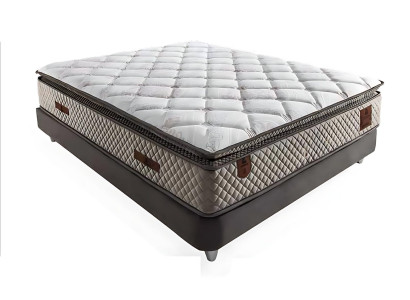 A modern bed with mattress beautifies any room.
