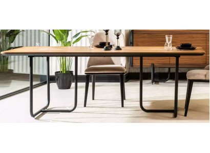 Furniture Dining Room Tables 220x100 cm Dining Table Luxury Table Wood Dining Tables