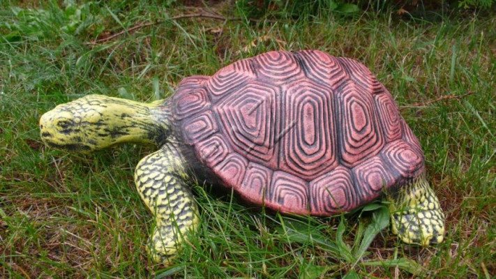 Design Turtle Figure Statue Sculpture Figures Sculptures Garden Decoration New