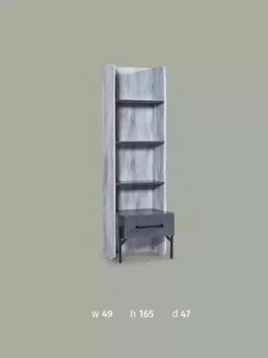 Regal Wardrobe Bookshelf Cabinets Multipurpose Furniture Brown 165x49x47
