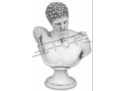 Roman bust figure figures statue statues sculpture sculptures woman