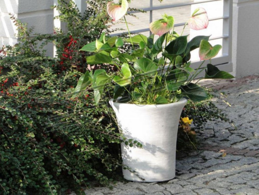 Flower basket figures flower vase container garden terrace statue decoration