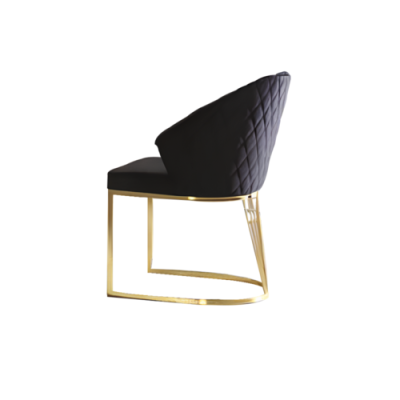 Upholstered chairs, kitchen chairs, dining room chairs, wooden chairs, set of 2, black