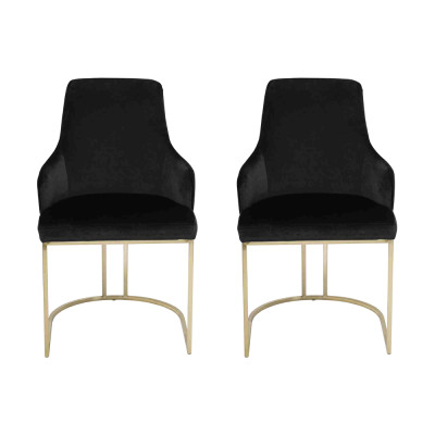Black Stainless Steel Chairs 2x Dining Chairs Luxury Seating Furniture Set of 2