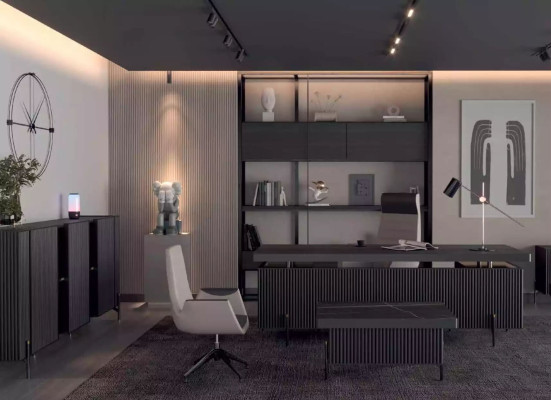 Modern office cabinet sideboard luxury office furniture lowboard wooden furniture new