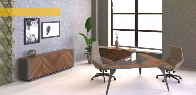 Sideboard office dresser design furniture cabinet lowboard new office brown