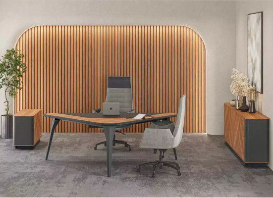 Sideboard office dresser design furniture cabinet lowboard new office brown