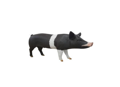 Fattening Pig Farm Decoration Garden Statue Animal Sausage Statues 160cm Figures