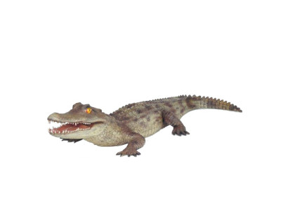 Crocodile Garden Decor Life-Size Statue Figure Sculpture 198cm Statues Figure