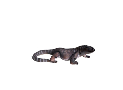 Lizard Decorative Statue Garden Figures Statues 100cm Life-Size Figure Plastic