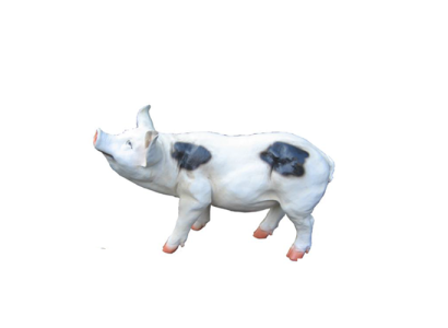 Decoration garden figure statue figures statues decor new sculptures pig 40cm