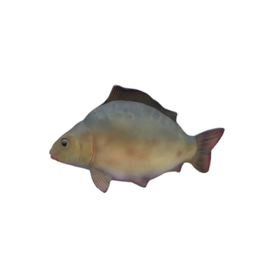 Decorative modern beautiful sculpture fish, figure height 60 cm.
