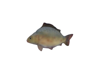 Decorative modern beautiful sculpture fish, figure height 60 cm.