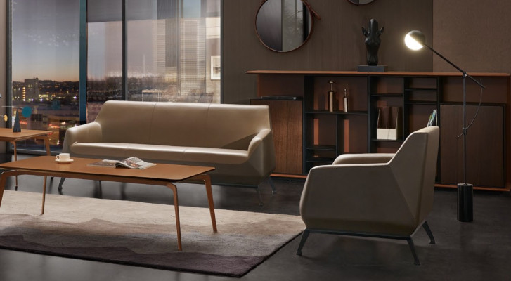Armchair Lounge Luxury TV Club Upholstered Seat Design Armchair Couch Sofa