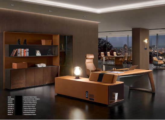 Books, files, cabinet, shelf, wall, office, practice, company, office, furniture