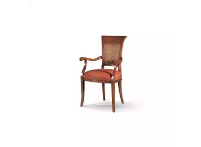 Textile Luxury Furniture Dining Room Chair with Armrest Dining Room Design