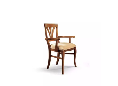Chair with Armrests Dining Chair Wood New Dining Chairs Design New