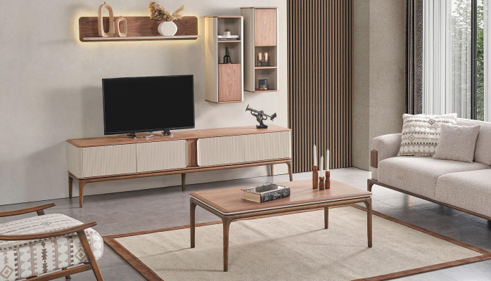 A stylish TV cabinet for your living room in a modern style