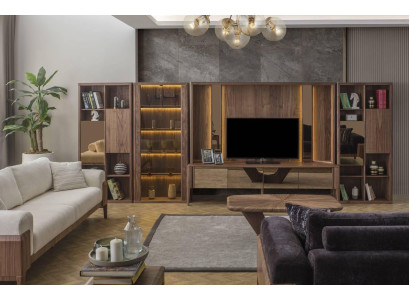 Modern brown wall unit, living room wooden wall, Mux LED shelves, wall units