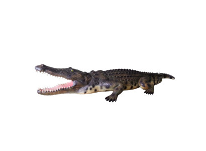 Crocodile Garden Decoration Life-size Statue Figure Sculpture 320cm Statue Figure