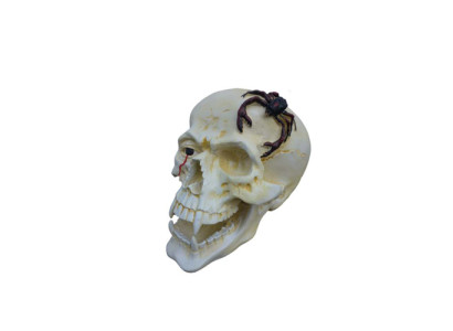 Skull Head Scorpion Figure Statue Sculpture 44 cm Figures Statues Sculptures N87