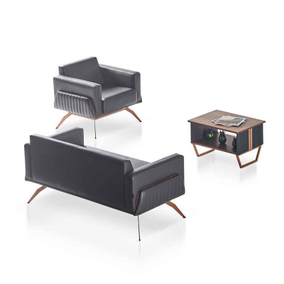 3-piece study set: 2-seater, armchair, coffee table, modern design, gray