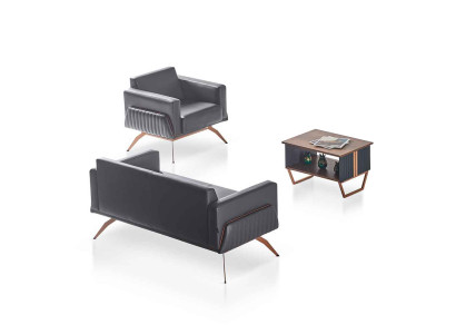 3-piece study set: 2-seater, armchair, coffee table, modern design, gray
