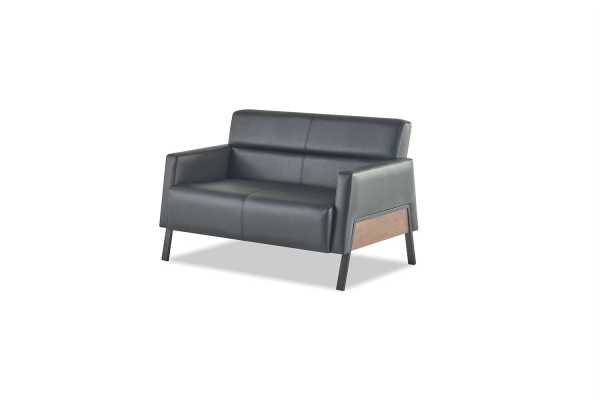 Sofa Black 2-Seater Leather Sofa Modern Couch Leather Stainless Steel Two-Seater