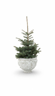 Flower pot planter decoration figure flower pots garden vases nature