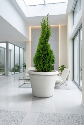 Flower pot plant container decoration figure vases garden flower pots nature