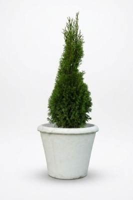 Flower pot plant container decoration figure vases garden flower pots nature