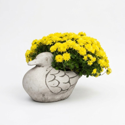 Flower pot, natural plant container, decoration figure, garden flower pots, vases