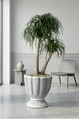 Flower pots, planter, pot, flowers, decorative pots, XXL concrete garden terrace