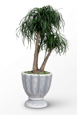 Flower pots, planter, pot, flowers, decorative pots, XXL concrete garden terrace