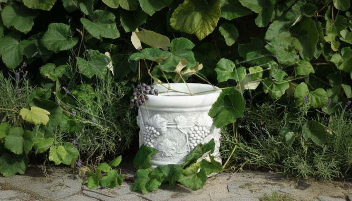 Flower vase, flower box, garden stone, decor, decoration, antique style, flowers.