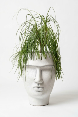 Design Flower Pot Top Plant Container Vessel Deco Figure Pot Face Sculpture